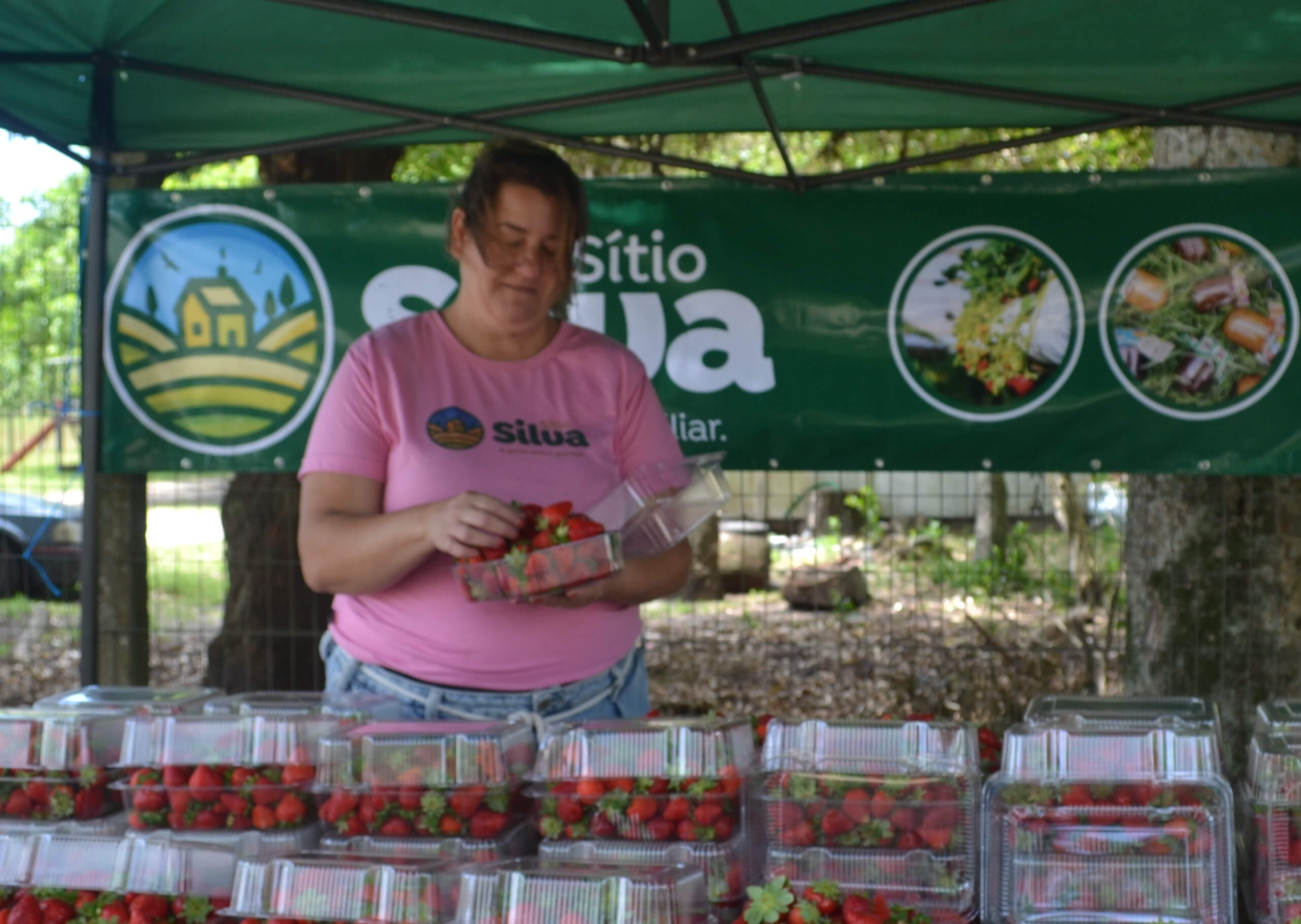 Mulher vendendo morangos frescos sob uma tenda do Sítio Silva de Agricultura Familiar