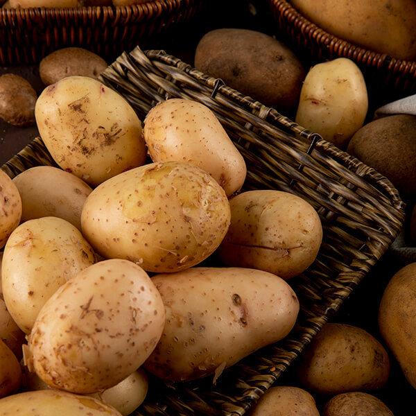 Uma seleção de batatas lavadas em uma cesta de vime escura