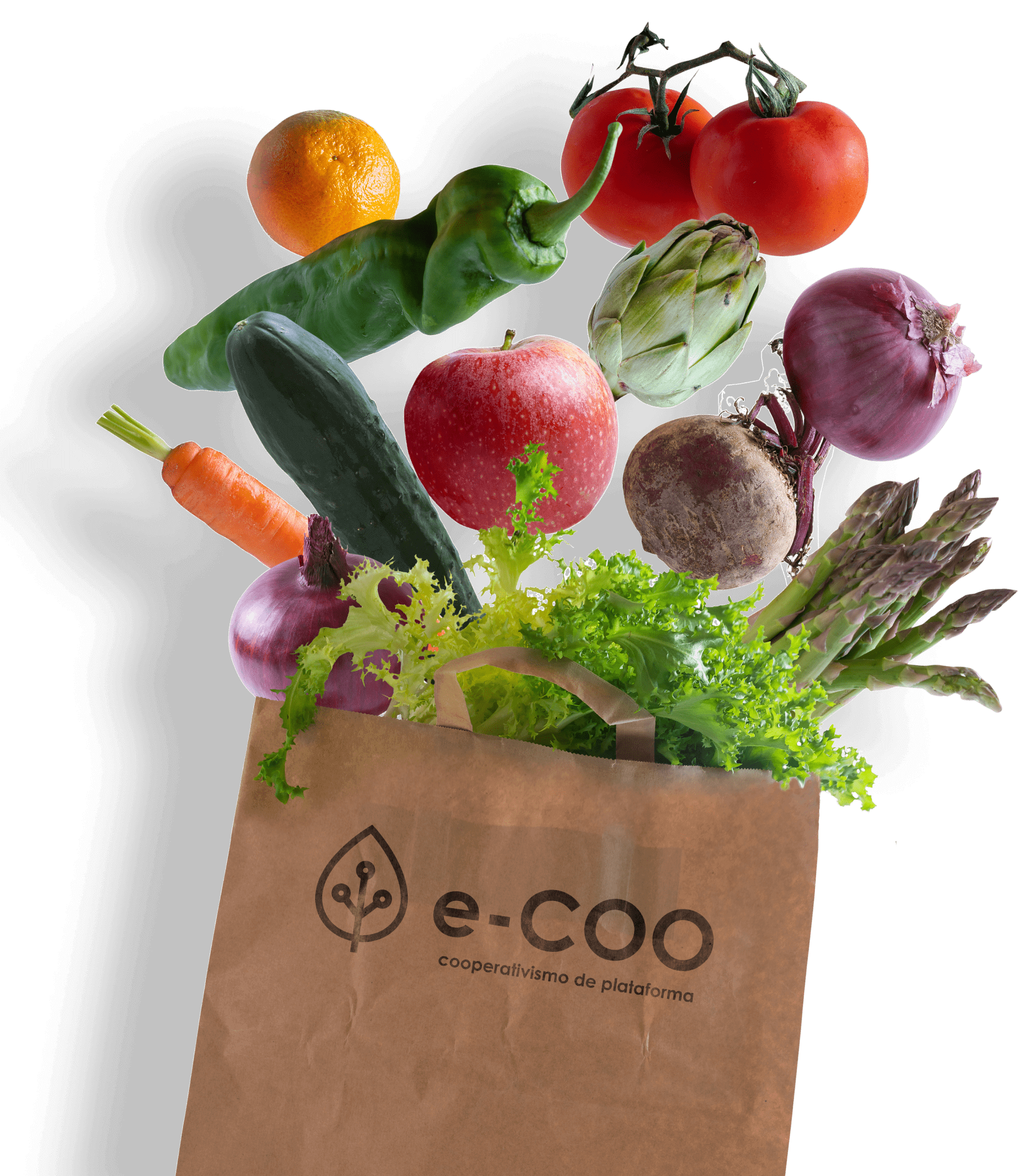 Sacola de papel com logotipo e-COO transbordando com vegetais frescos e orgânicos como tomates, laranjas, cenouras e aspargos